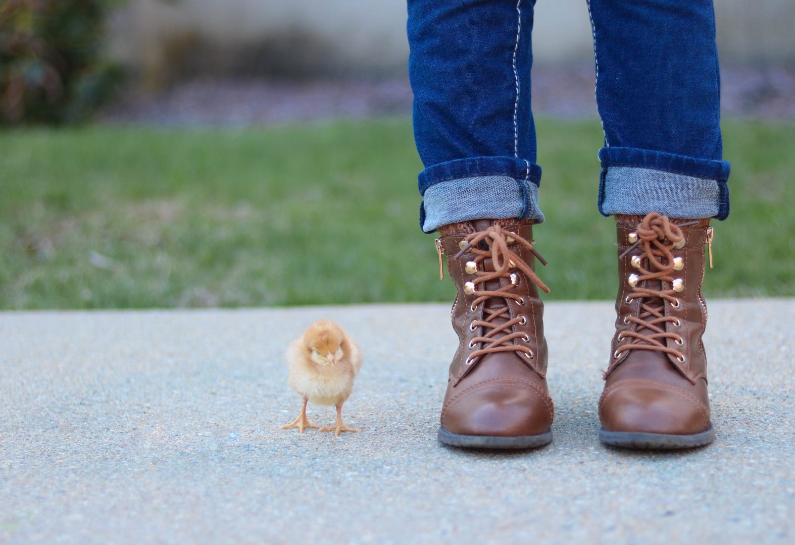 6 Dicas Poderosas de Como Usar  Ankle Boots (bota de cano curto)